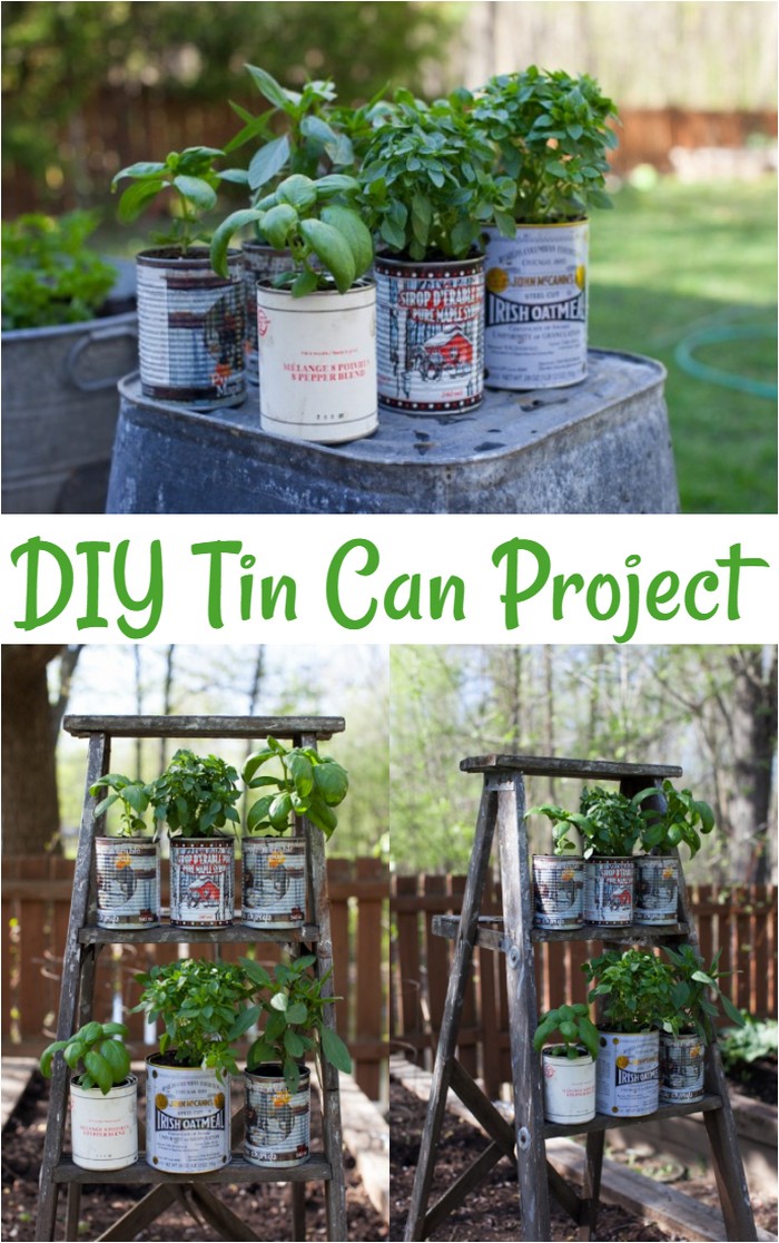 Tin Can Herb Garden
