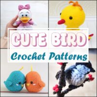 Free Crochet Bird Patterns