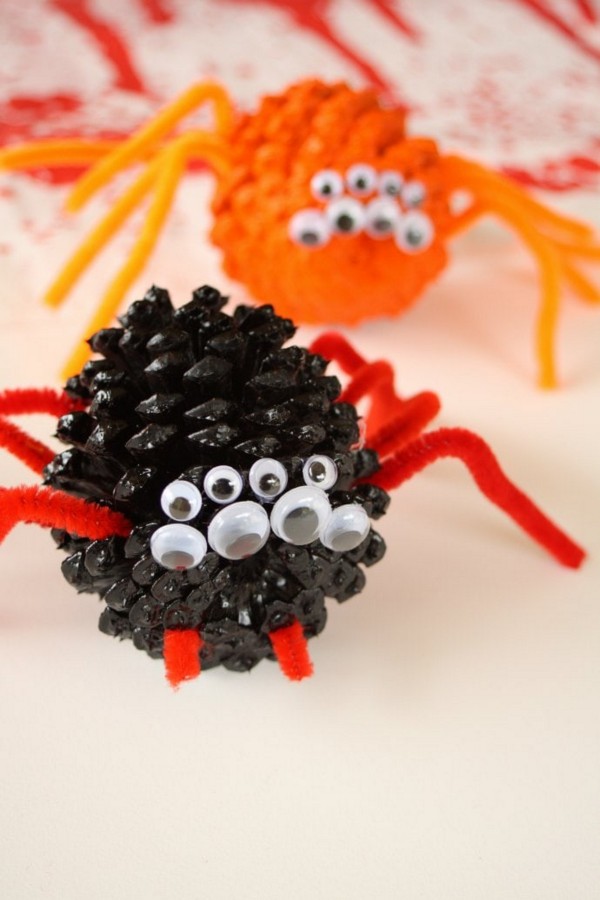 Pet Spider Learning Craft