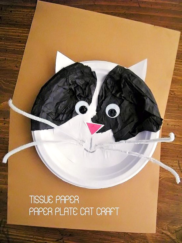 Tissue Paper Plate Cat