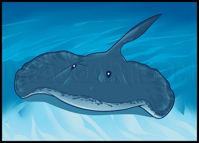 How To Draw A Stingray Cute