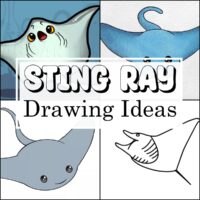 Sting Ray Drawing Ideas 1