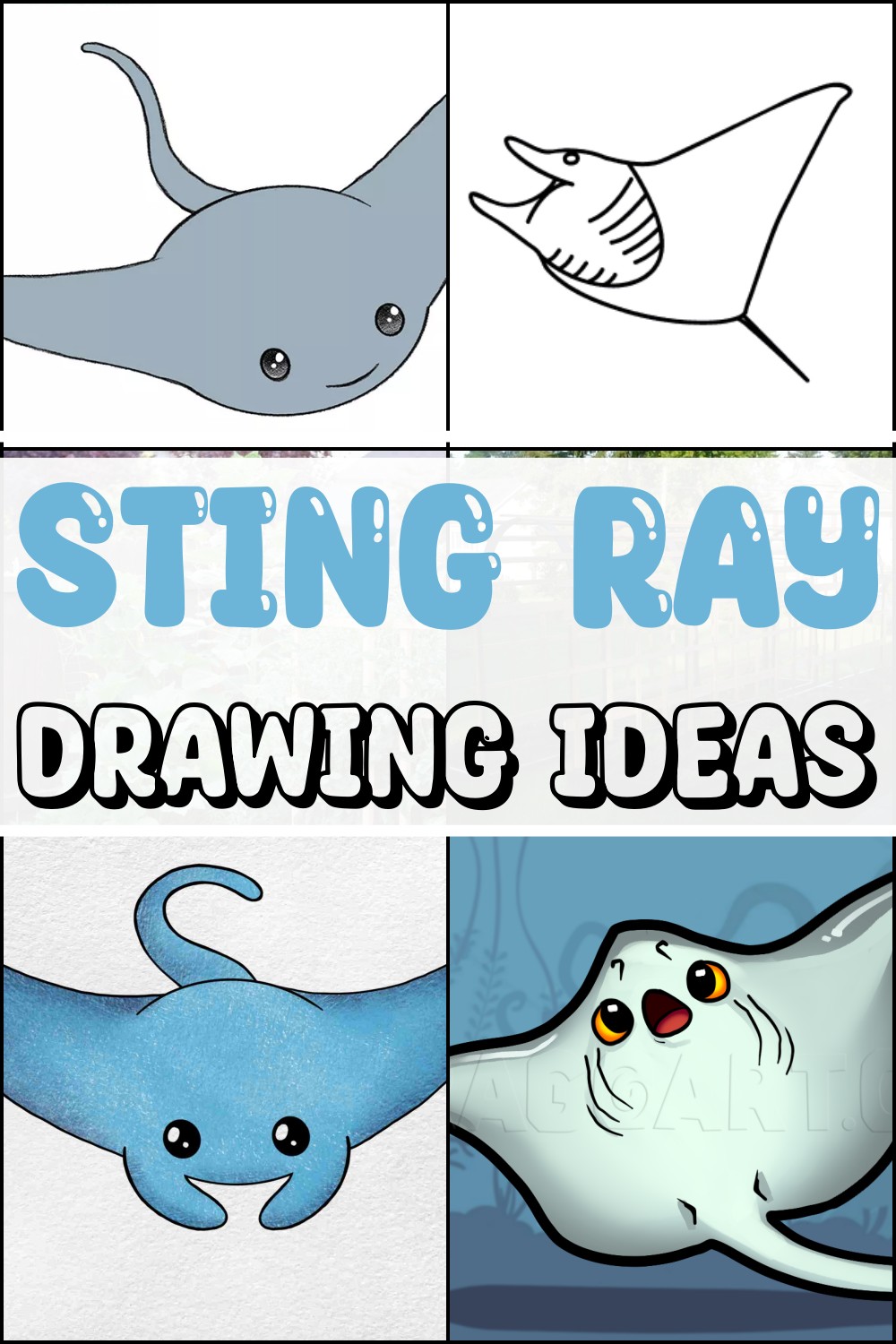 Sting Ray Drawing Ideas