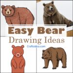 Easy Bear Drawing Ideas