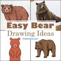 Easy Bear Drawing Ideas