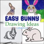 Easy Bunny Drawing Ideas