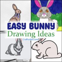 Easy Bunny Drawing Ideas
