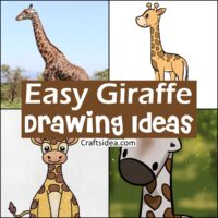Easy Giraffe Drawing Ideas