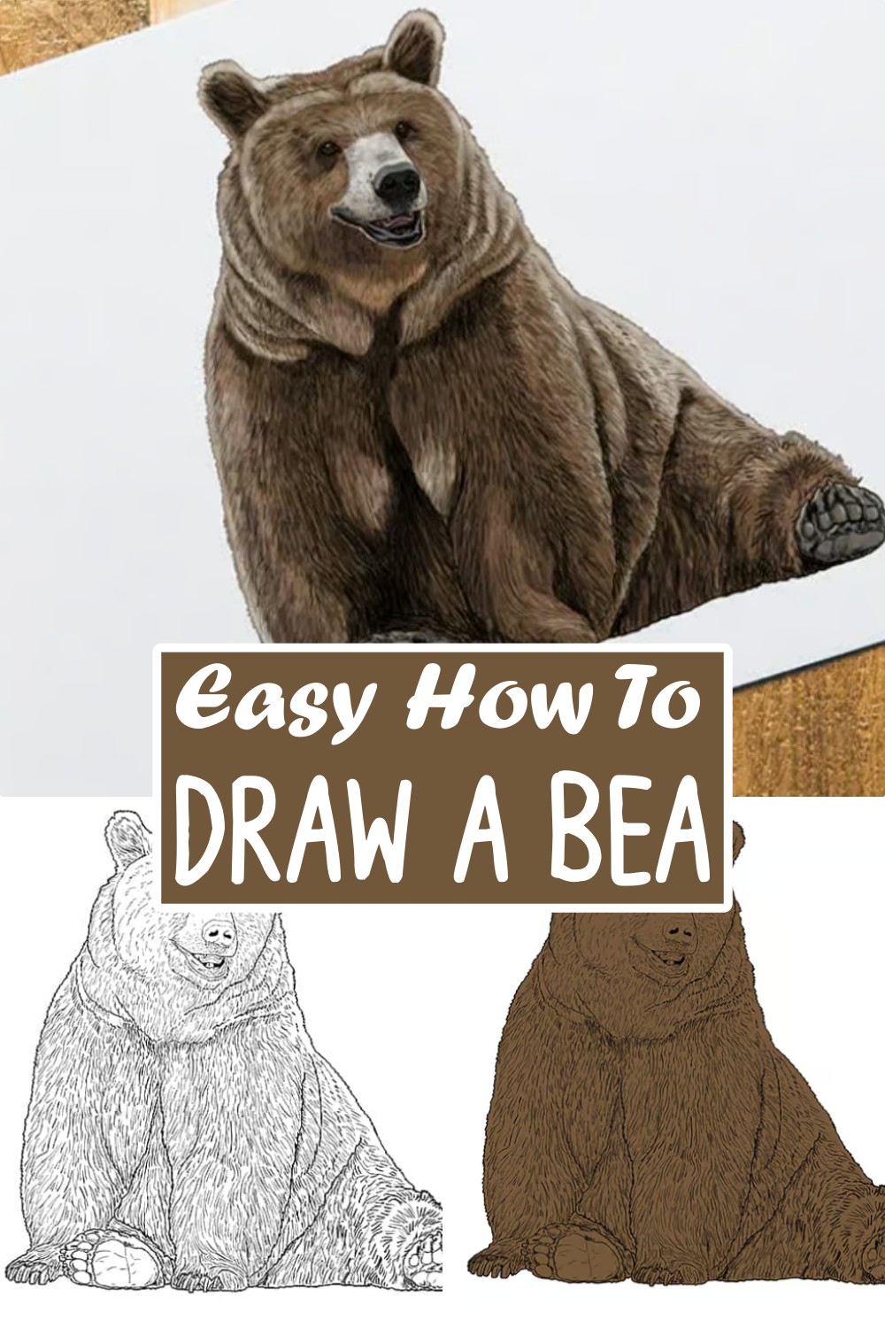 Easy How To Draw A Bear