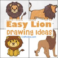 Easy Lion Drawing Ideas