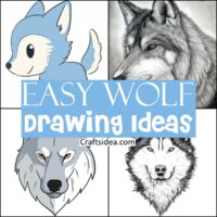 Easy Wolf Drawing Ideas