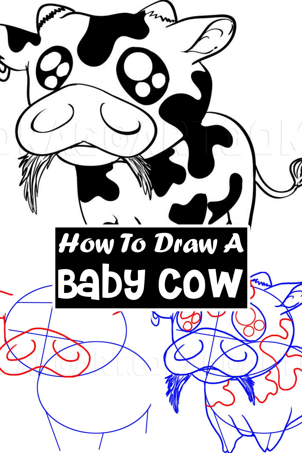 How To Draw A Baby Cow