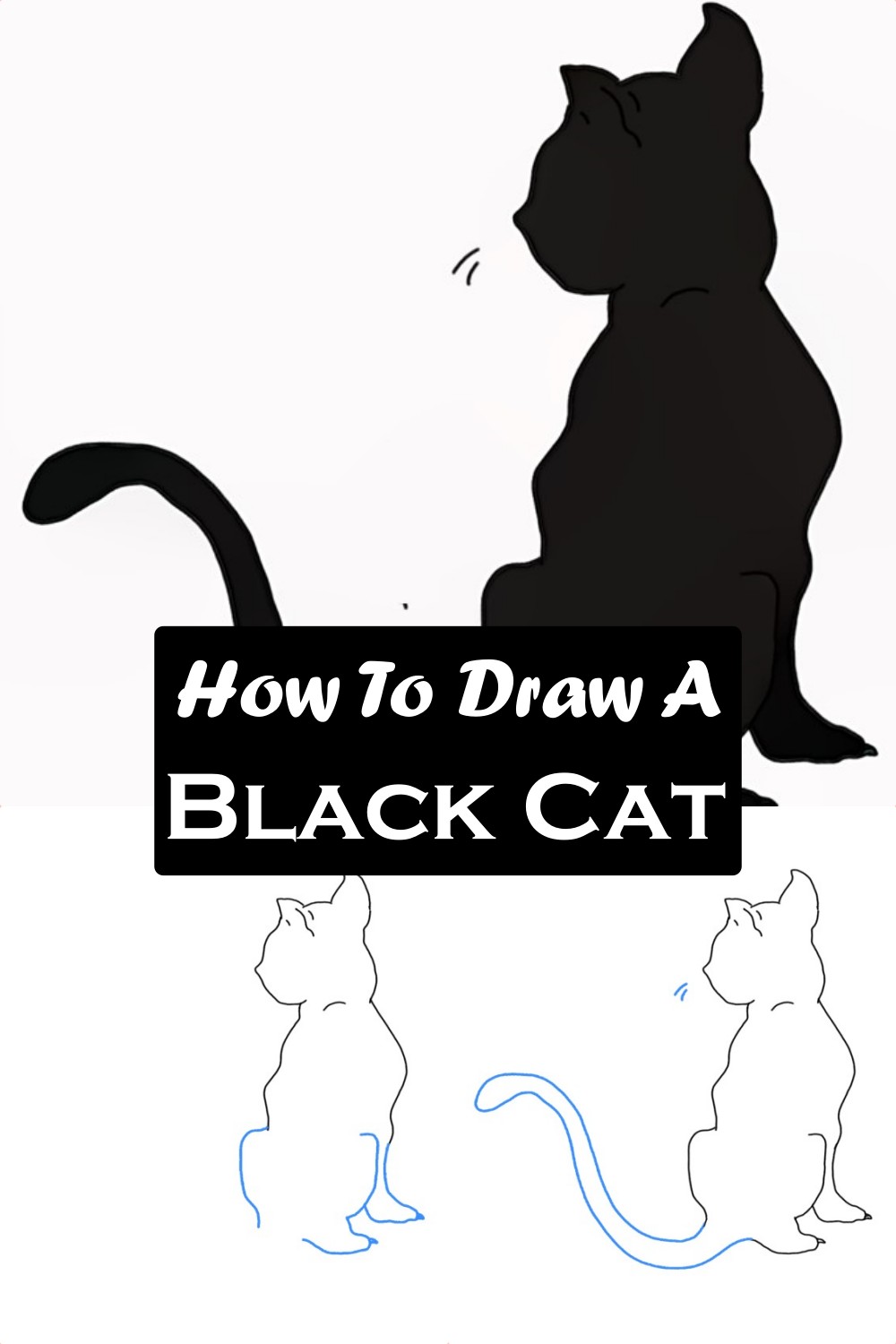 How To Draw A Black Cat