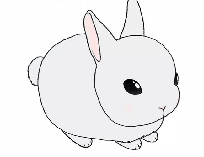 How To make A Cute Rabbit 