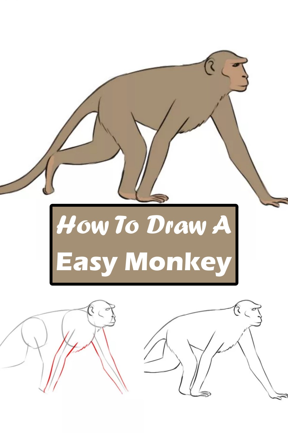 How To Draw A Easy Monkey