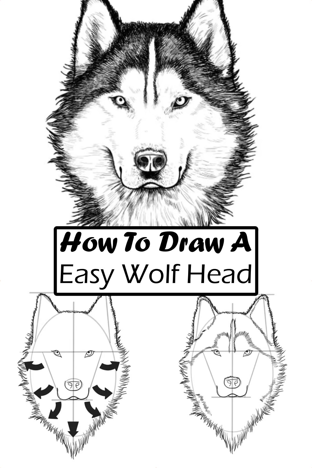 How To Draw A Easy Wolf Head