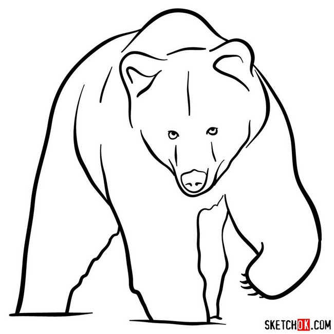 How To sketch A Grizzly animal 