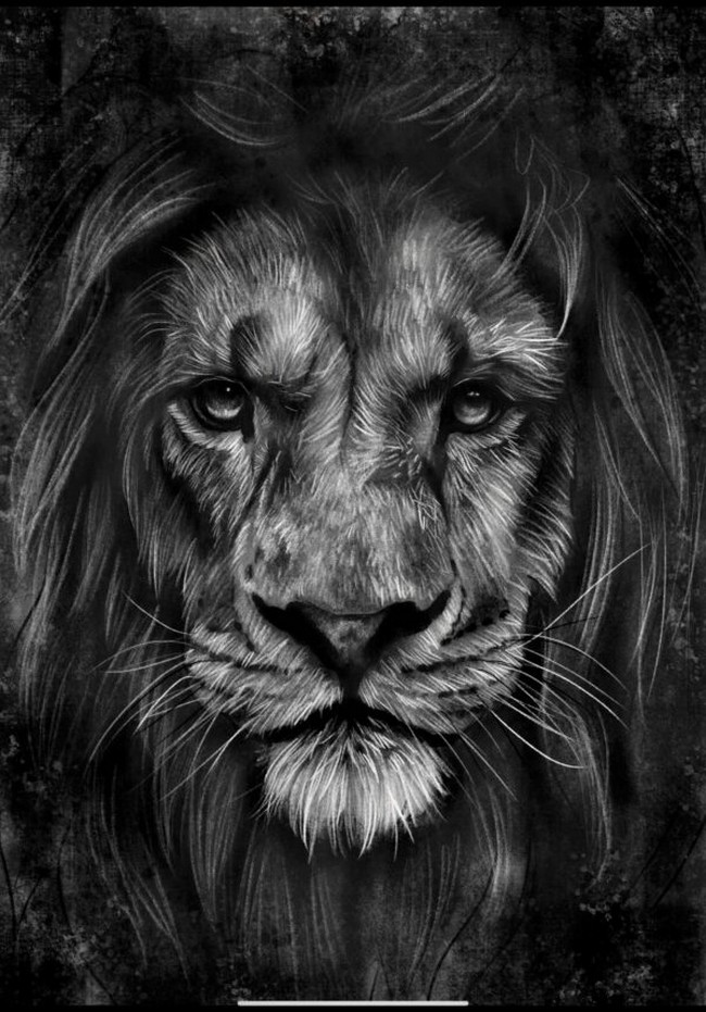 How To Draw A Realistic Lion Like An Artist