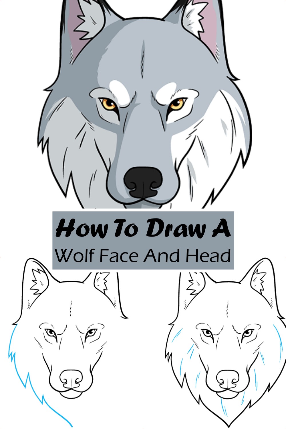 How To Draw A Wolf Face And Head