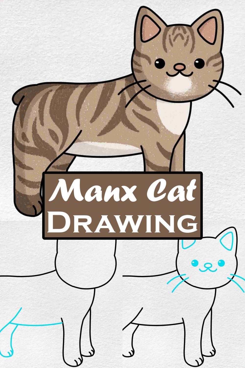 Manx Cat Drawing