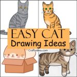 Easy Cat Drawing Ideas 1