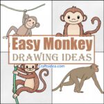 Easy Monkey Drawing Ideas