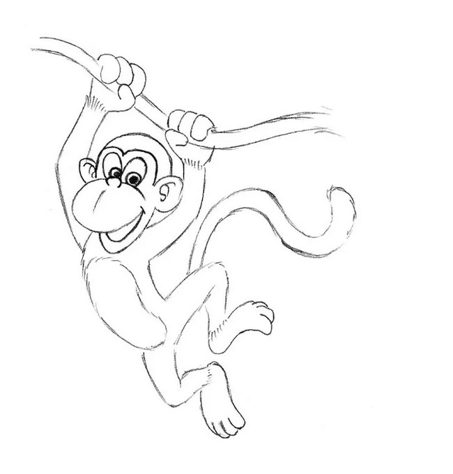 How To Draw A Monkey For Kids