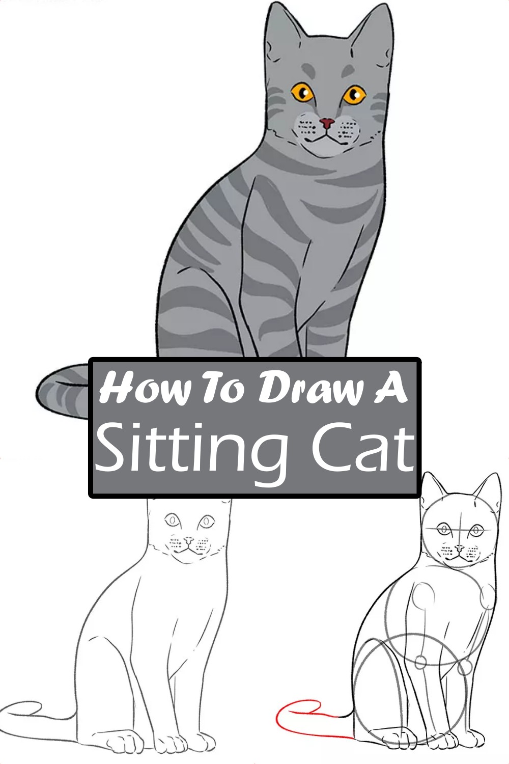 How To Draw A Sitting Cat