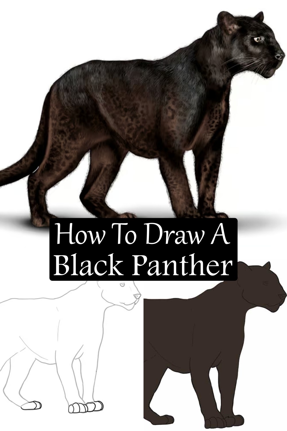 How To Draw A Black Panther