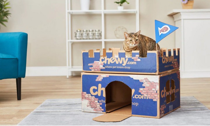 Chewy Box Cat Castle