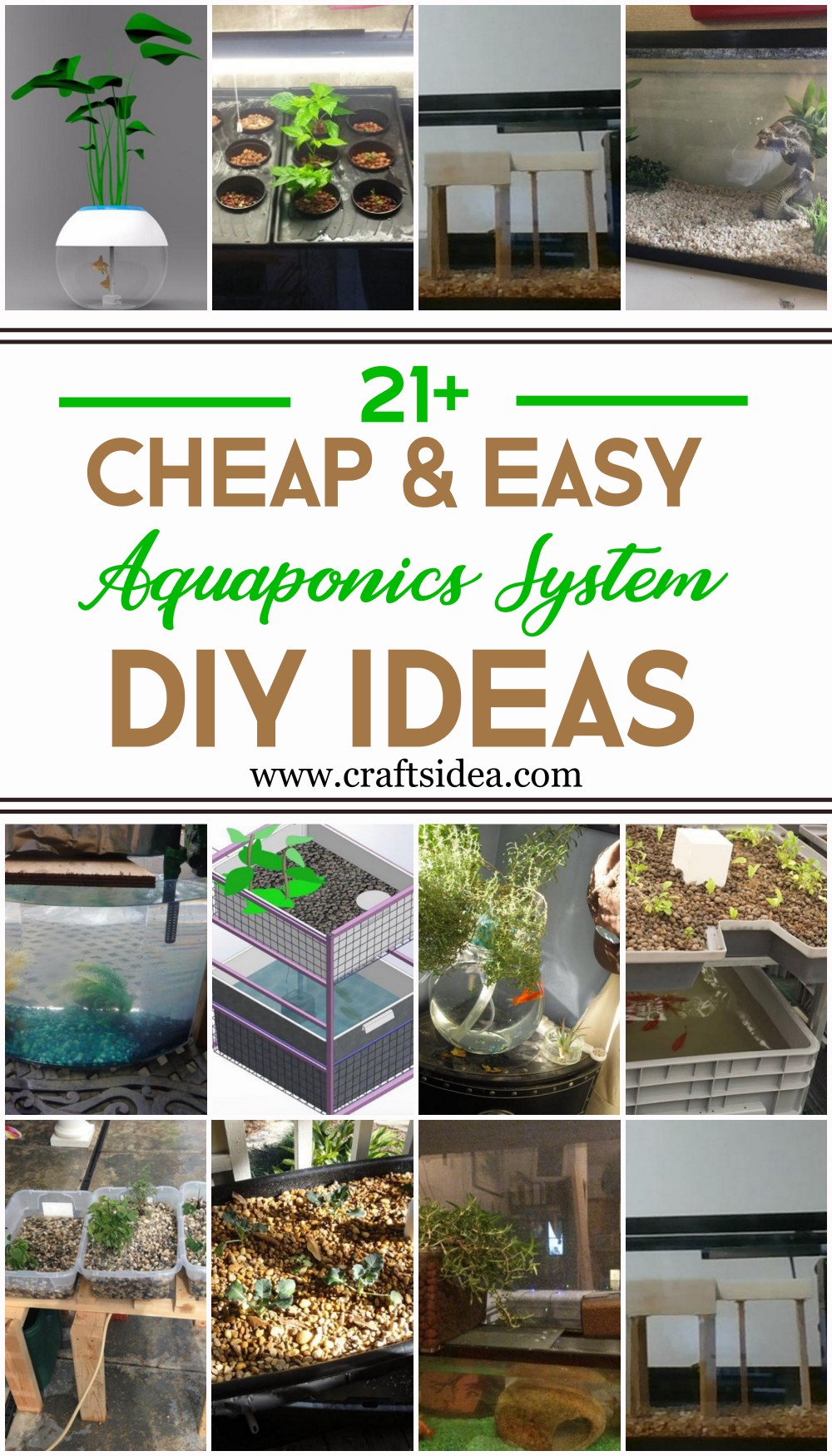 DIY Aquaponics System Ideas 1