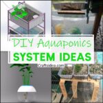DIY Aquaponics System Ideas