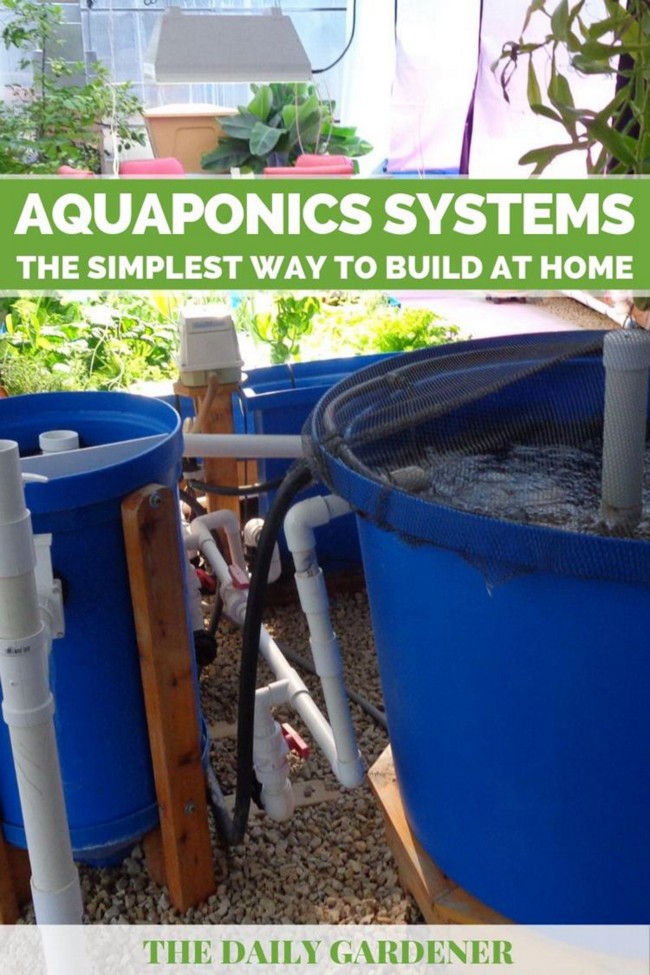 DIY Aquaponics System Plan