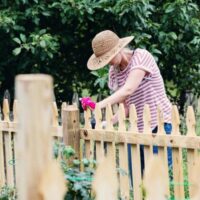 DIY Garden Fence Ideas