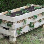 DIY Strawberry Planter Ideas