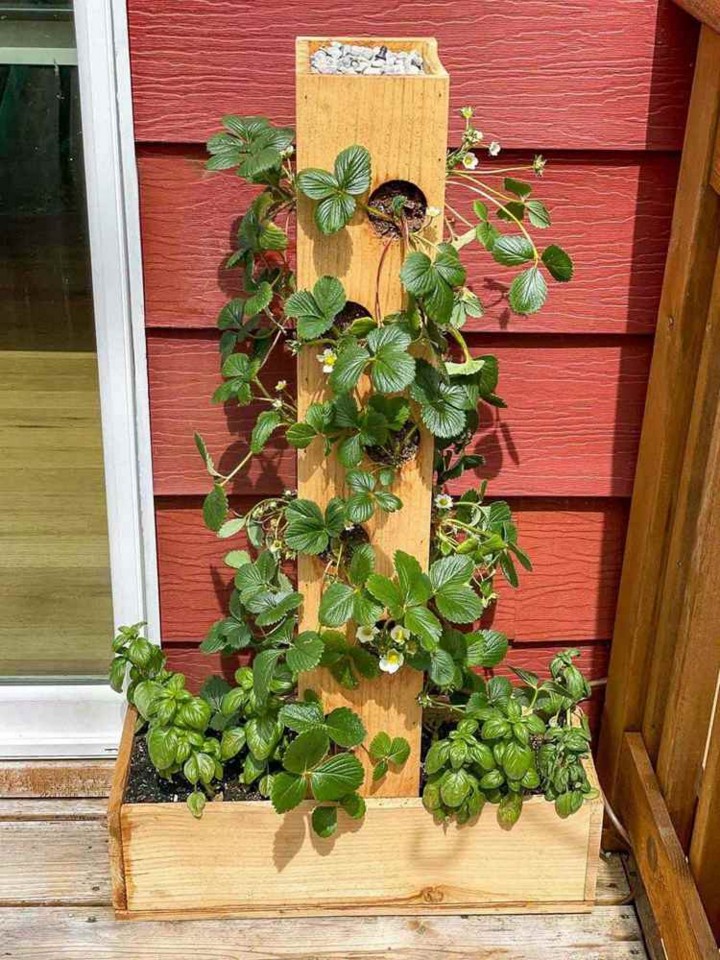 easy to make planter for home