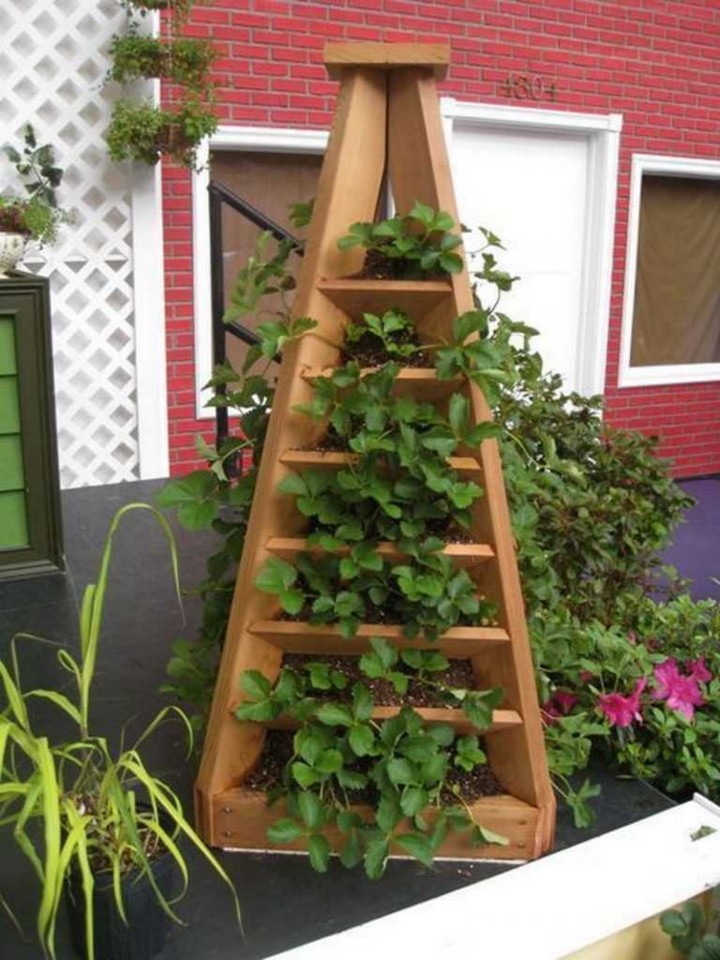 DIY Strawberry Pyramid Planter