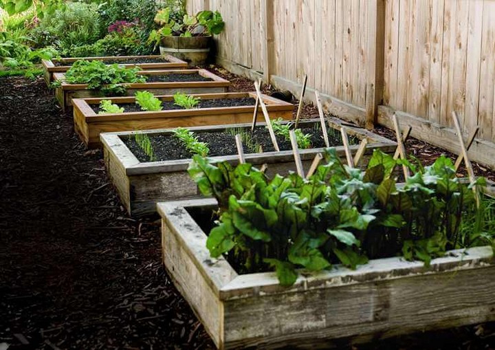 How To Build A Raised Garden Bed 1