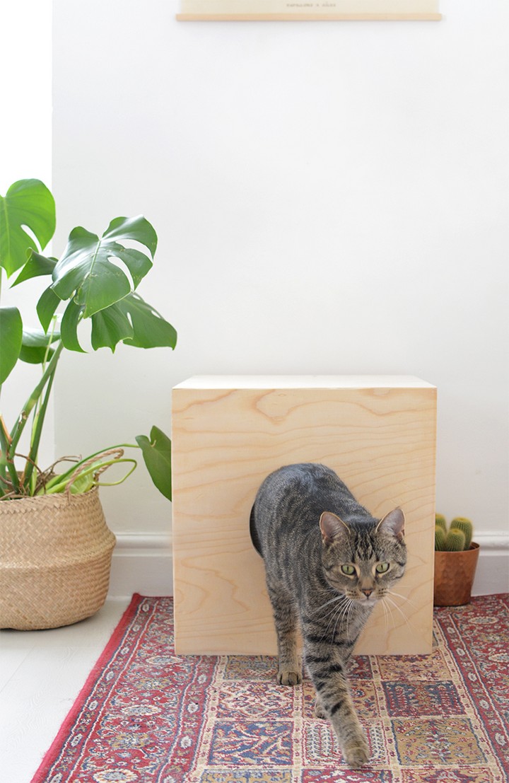 How To Build a Wooden Cat Bed