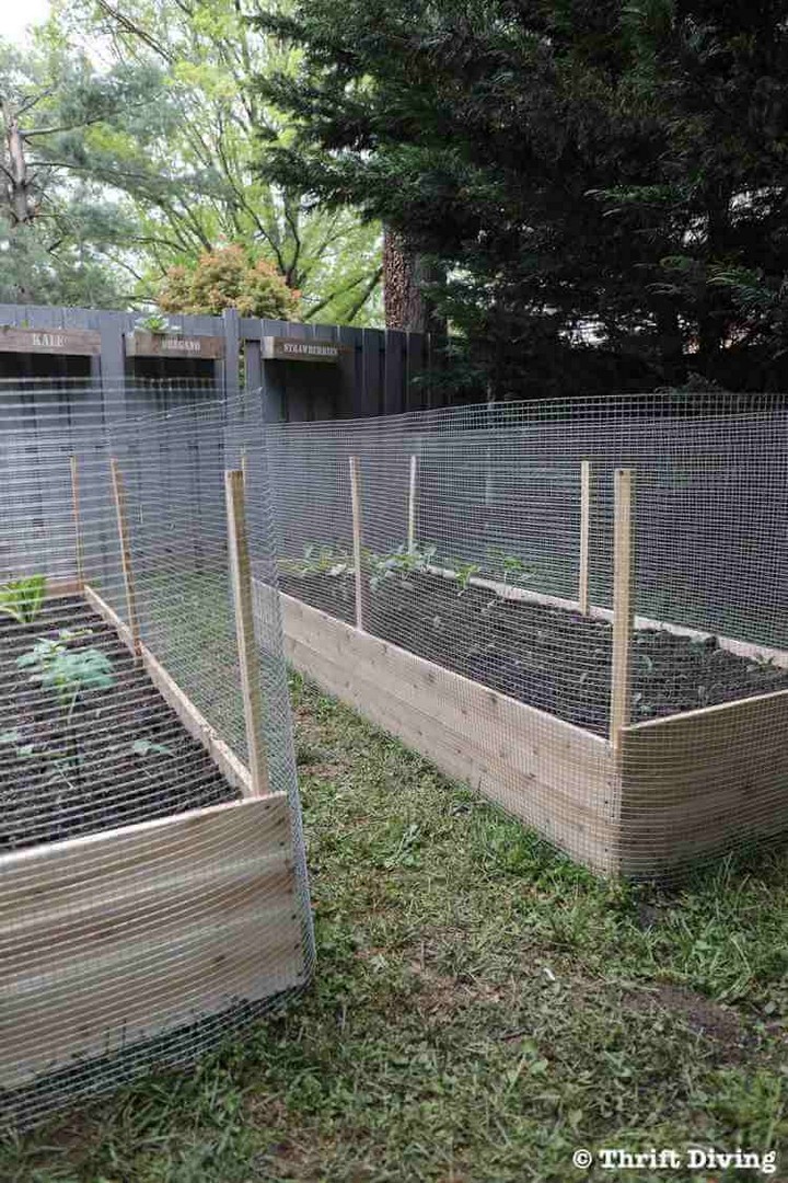 How to Build a Garden 