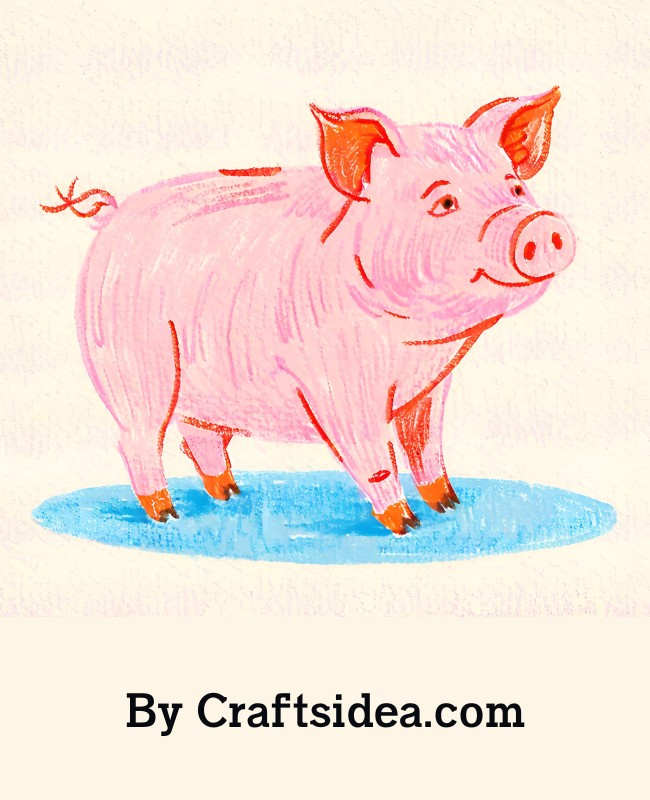 Pig Drawing