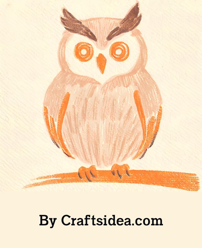 Staring Owl Drawing