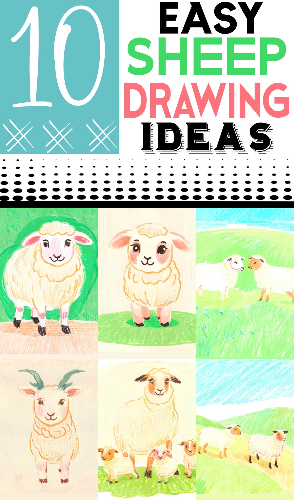 Easy Sheep Drawing 1
