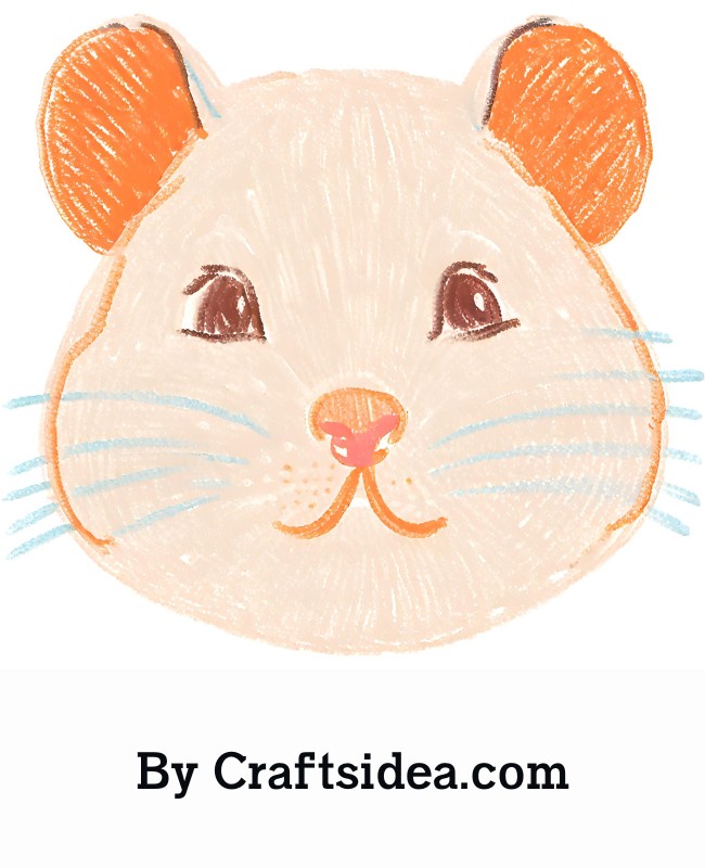 Hamster Face Drawing