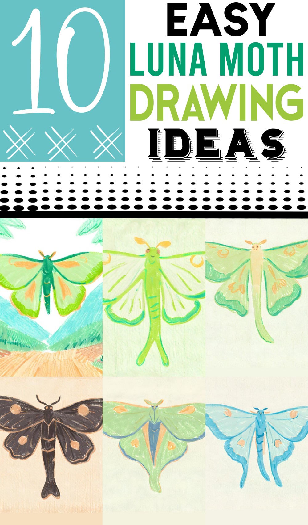 Luna Moth Drawing Ideas 2