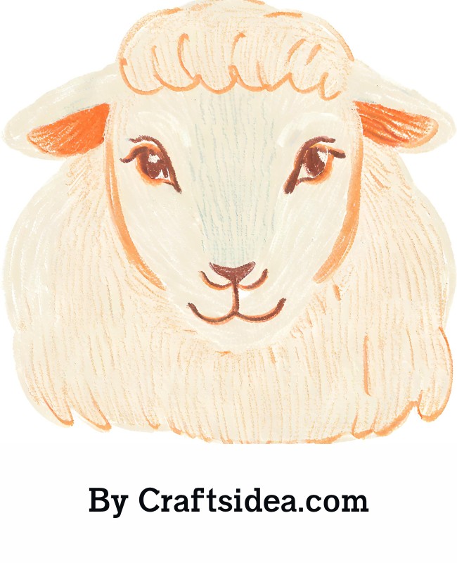 Sheep Face Drawing