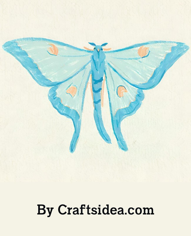 Sky Blue Luna Moth Drawing